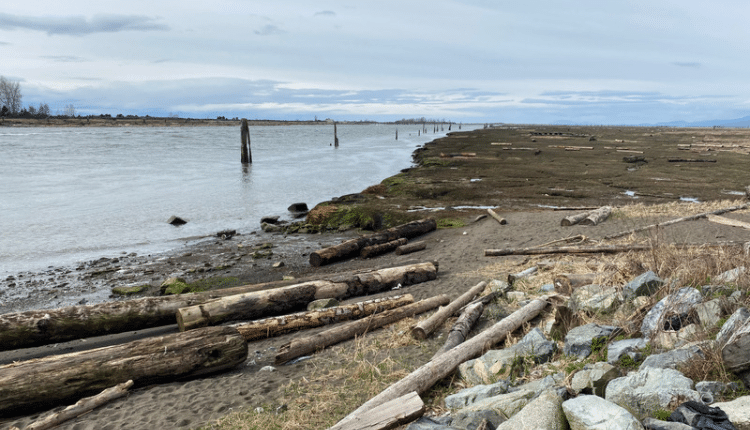 photo of Fraser River with shore