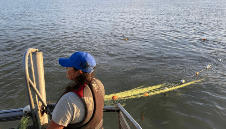 Image of Chrystal Sparrow fishing on the Fraser River