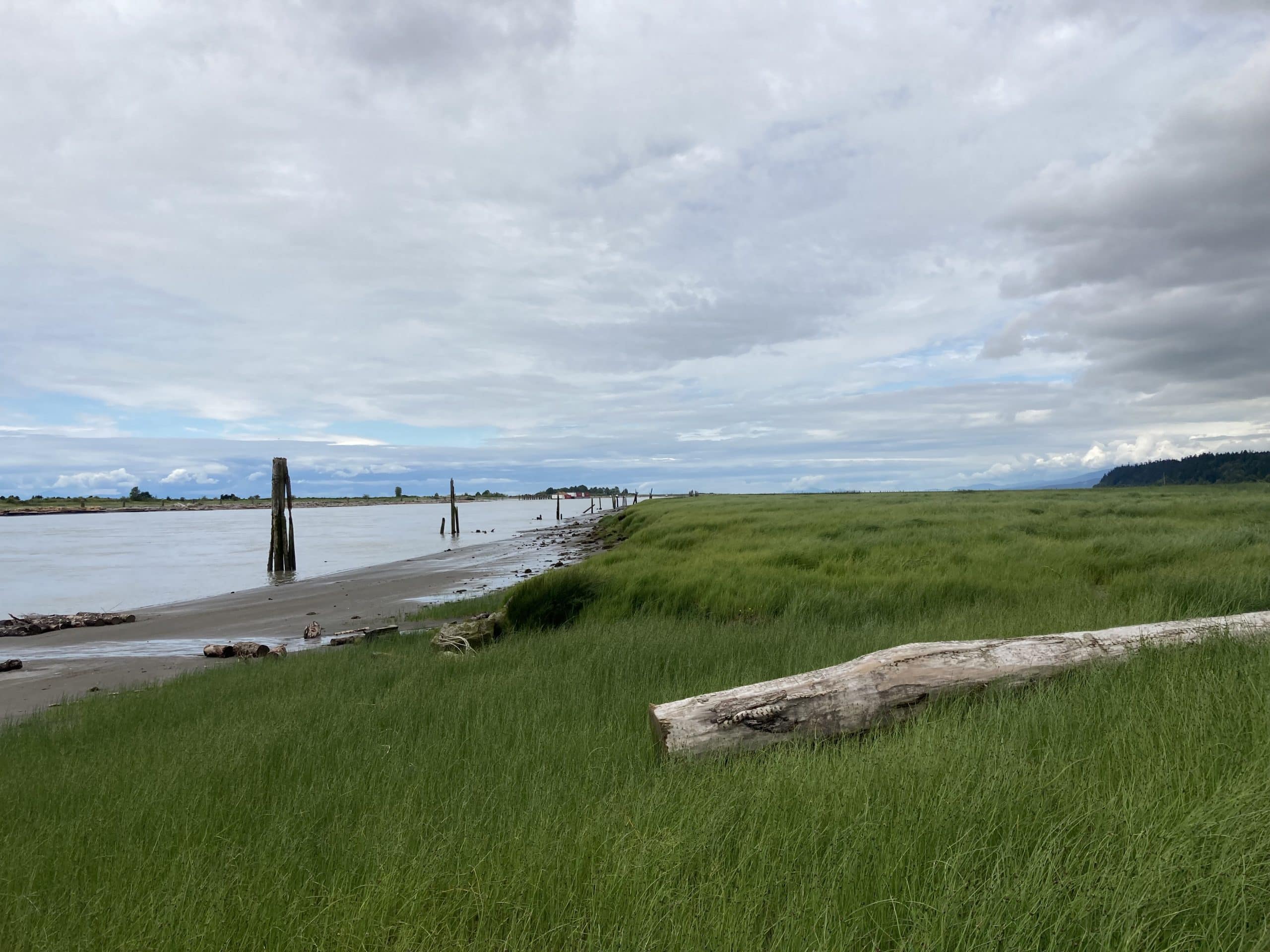 Image of the Fraser River