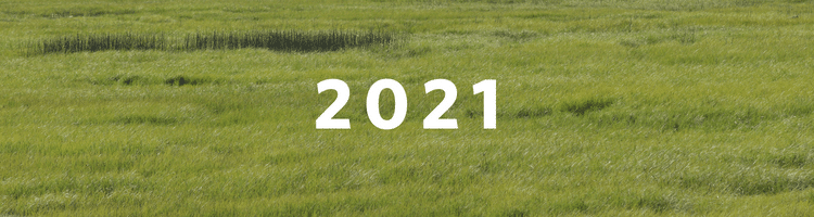 Image of grass with "2021" header
