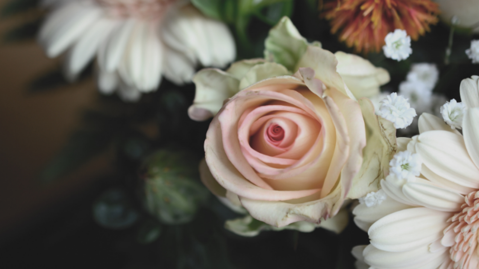 photo of a rose and other flowers