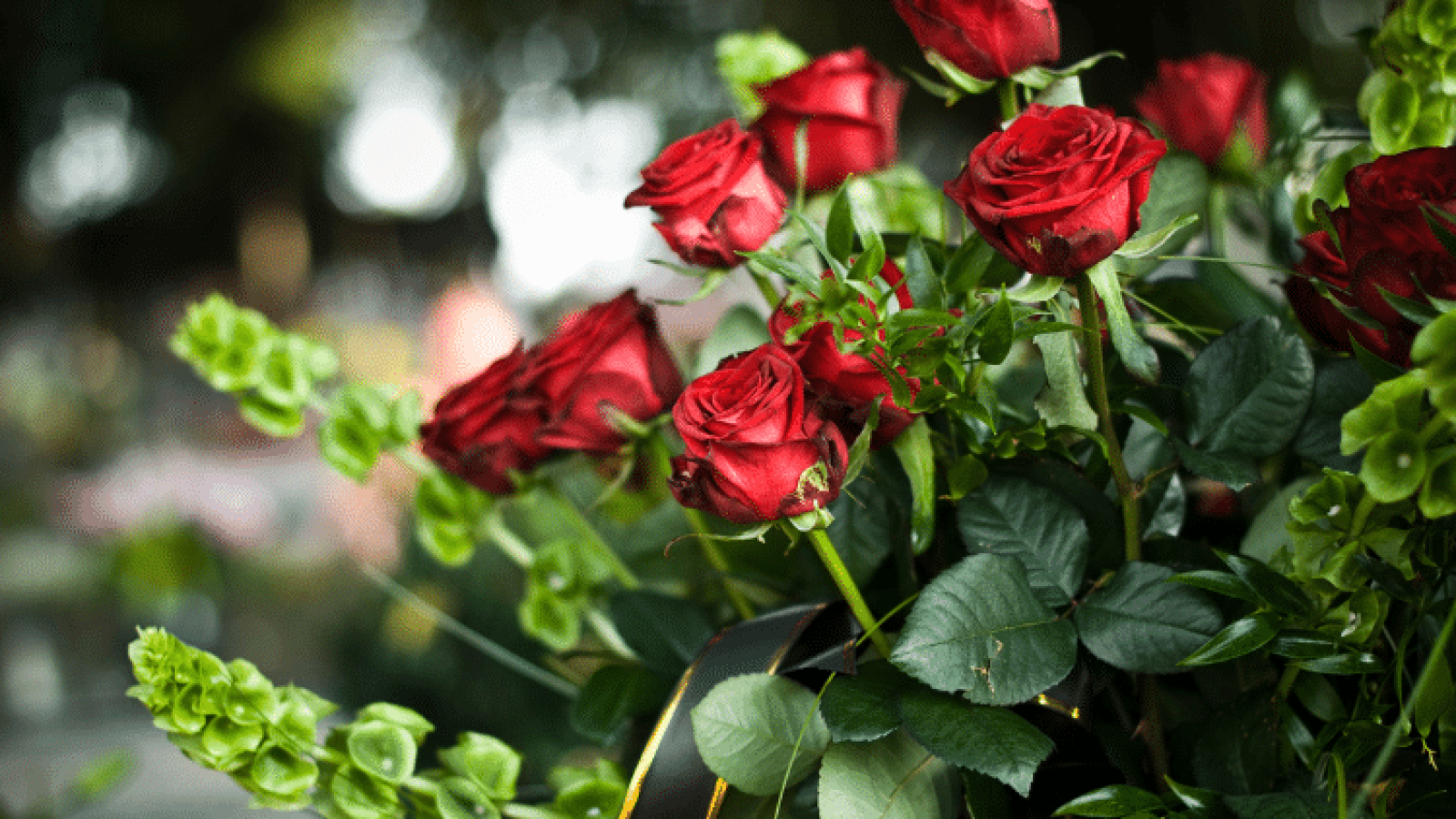 bouquet of roses